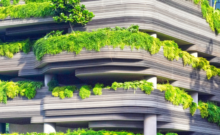 [Leadership-in-Action Project] Investigating Nature-Based Solutions (Bev&nbsp;Genockey)